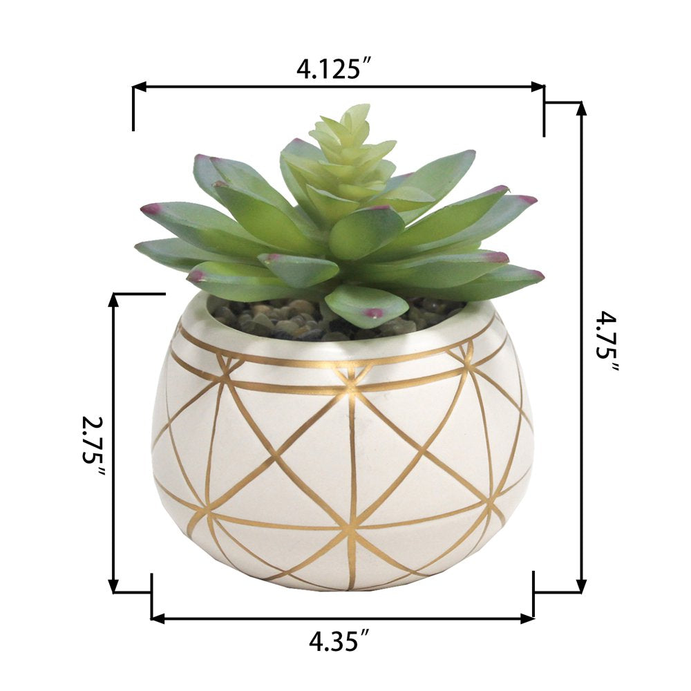 4" Tabletop Artificial Succulent in Geometric Print Ceramic Pot, White